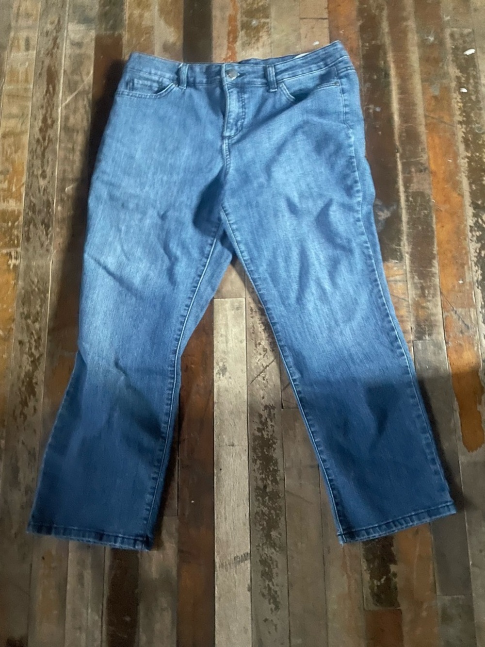 Bandolino Women's Straight Leg Jeans in Medium Blue